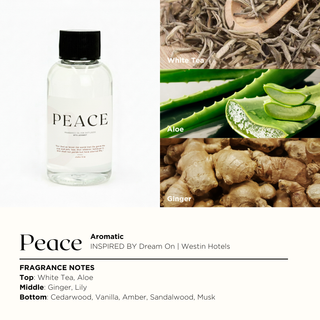 T300 DEAR GO | Difusor de Aromas (Titânio)