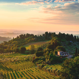 TUSCANY | Fragrance Oil (Inspired by Mandarino Di Amalfi By Tom Ford)